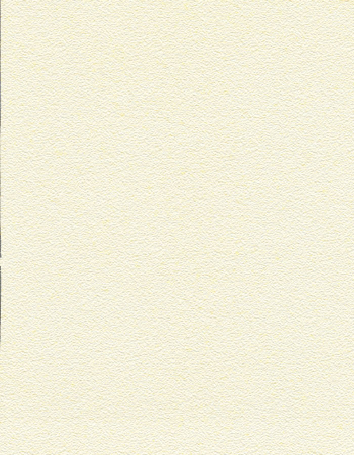 DEKOzid Bez dekorativni dezen